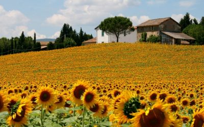 Du 16 au 22  avril 2022. Voyage culturel en Ombrie: Le cœur vert de l’Italie.